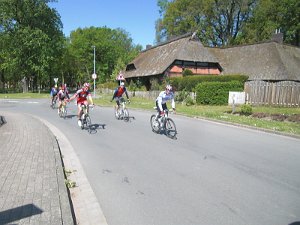 RTF Celle Rocky 66